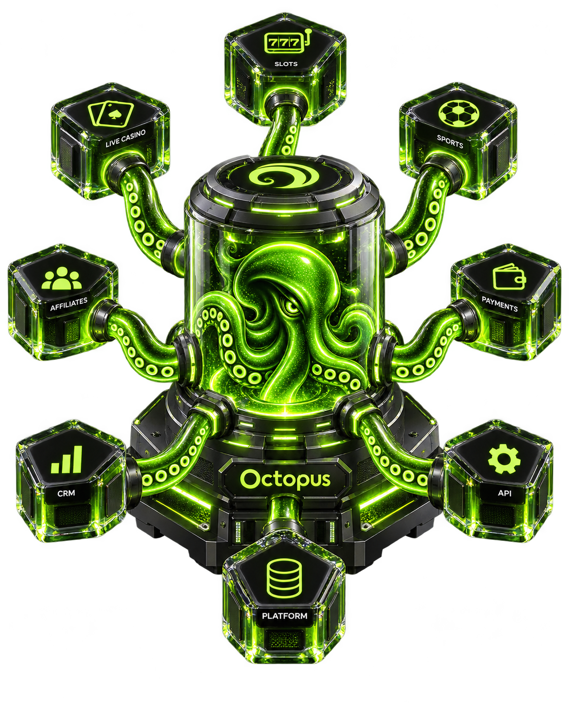 Octopus iGaming platform